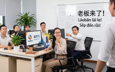 Tiếng Trung 8D Report