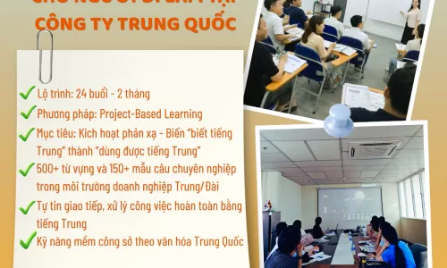 Hán ngữ online cho người lớn