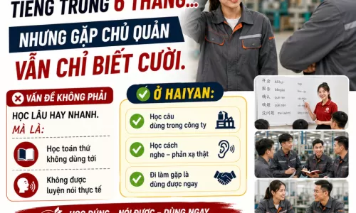 Hán ngữ online phù hợp ai