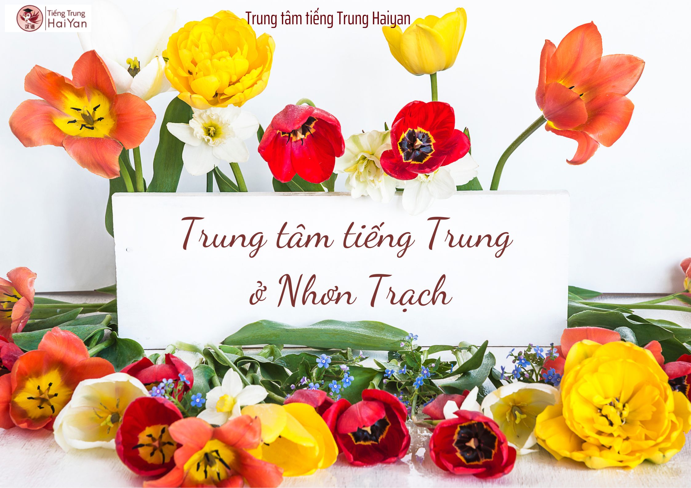 Trung tâm tiếng Trung Nhơn Trạch